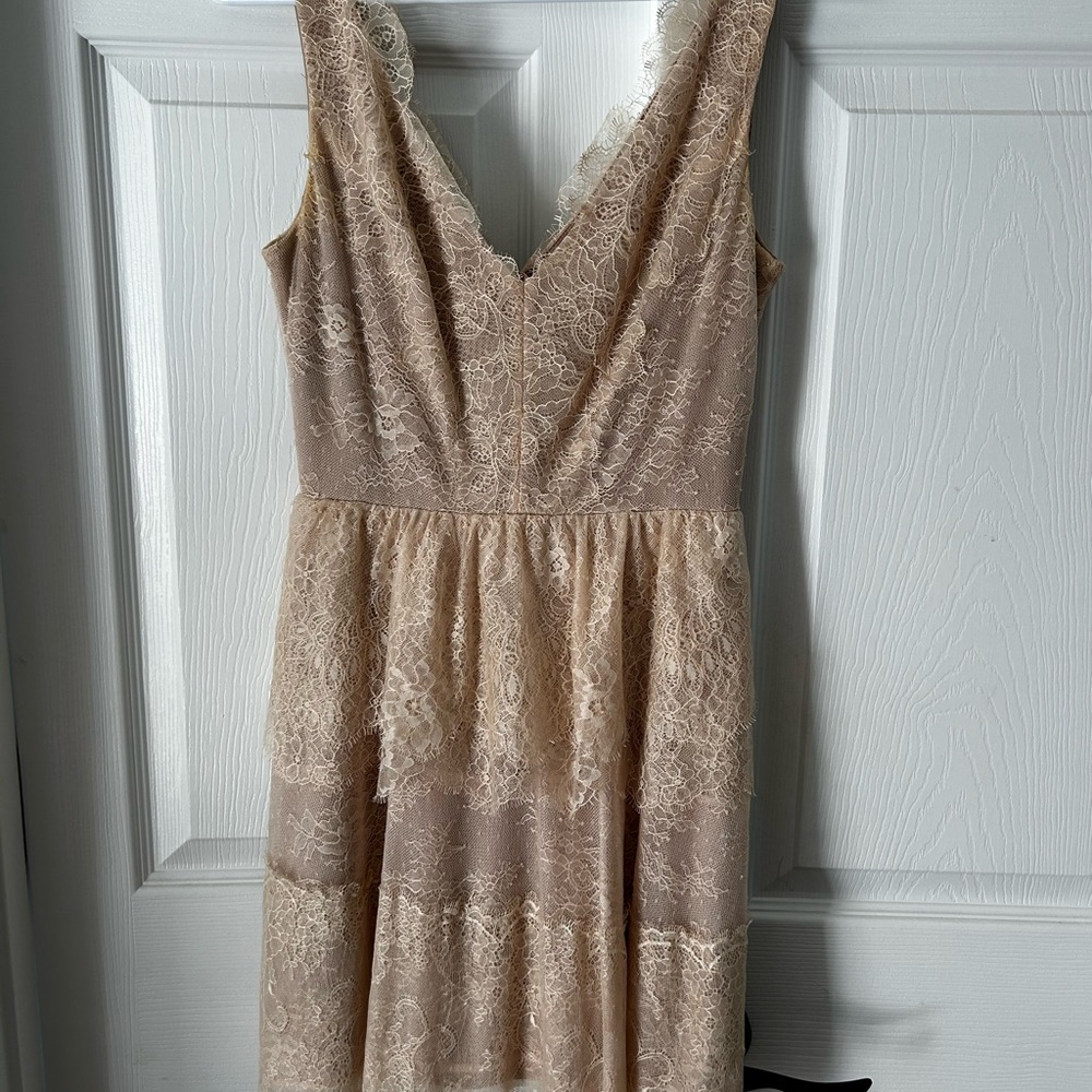 BCBG Nude colored lace overlay cocktail dress. Size XS.